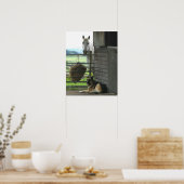 Hond en paard op ranch in Menton, Frankrijk Poster (Keuken)