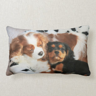 Hond En Puppy Cavalier King Charles Spaniel Kussen