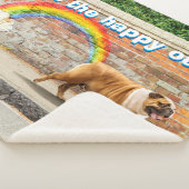 Hond- en regenbooggraffiti sherpa deken (3/4)