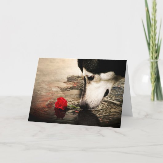 Hond en rode roos kaart (Voorkant)