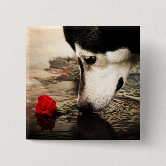 Hond- en rode rozenButton Vierkante Button 5,1 Cm (Voorkant)