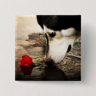 Hond- en rode rozenButton Vierkante Button 5,1 Cm