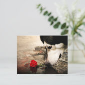 Hond- en rode rozenfotografie Briefkaart (Staand voorkant)