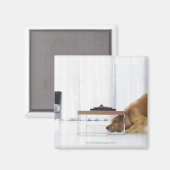 Hond en tafel magneet (Voorkant / Achterkant)