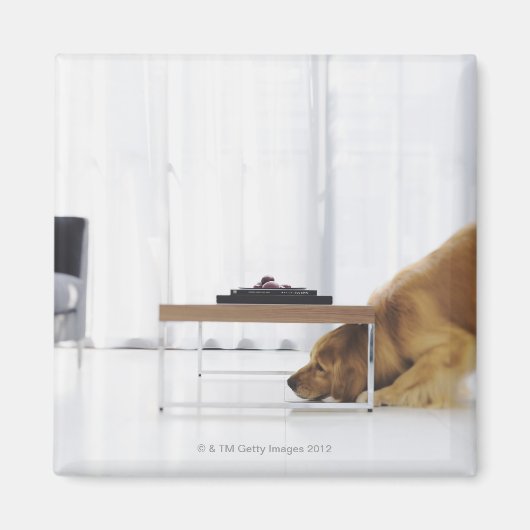 Hond en tafel magneet (Voorkant)
