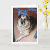 Hond en Tegels Portret Kaart (Gele Bloem)