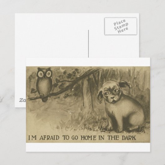 hond en uil briefkaart (Voorkant / Achterkant)