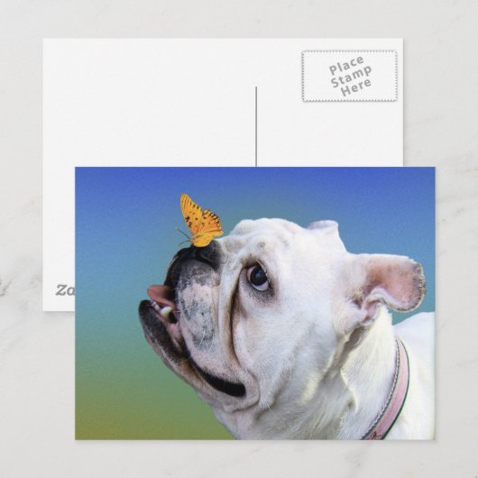 Hond en vlinder briefkaart (Voorkant / Achterkant)