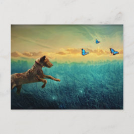 hond en vlinder briefkaart