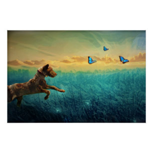 hond en vlinder perfect poster