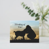 Hond en Vrouw Zonsondergang Silhouet Briefkaart (Staand voorkant)