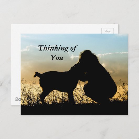 Hond en Vrouw Zonsondergang Silhouet Briefkaart (Voorkant / Achterkant)