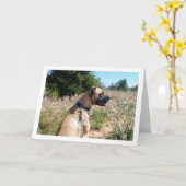 Hond en Wildbloemen Portret Kaart (Gele Bloem)