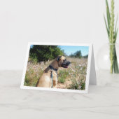 Hond en Wildbloemen Portret Kaart (Voorkant)