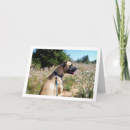 Hond en Wildbloemen Portret Kaart (Voorkant)