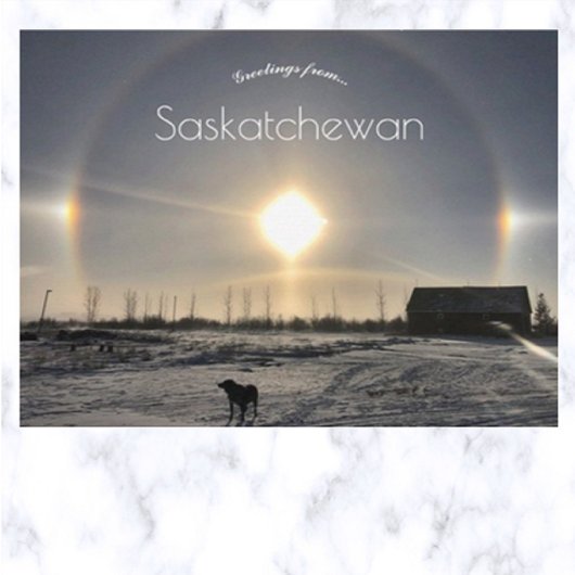 Hond en Zonnehond in Archydal Saskatchewan Nederla Briefkaart
