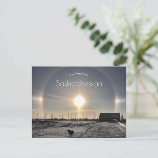 Hond en Zonnehond in Archydal Saskatchewan Nederla Briefkaart (Staand voorkant)