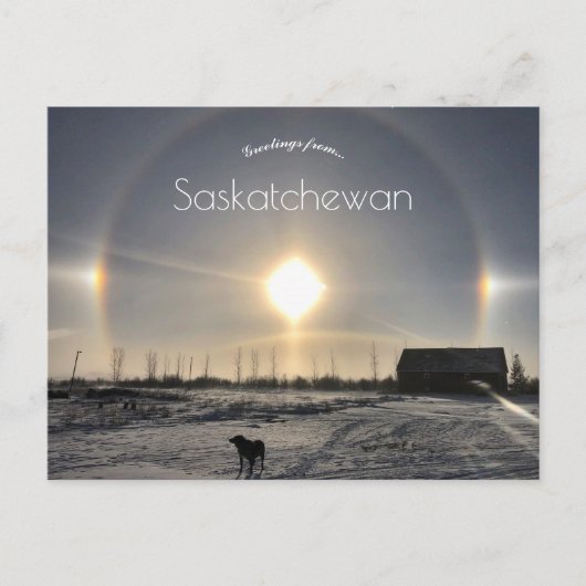 Hond en Zonnehond in Archydal Saskatchewan Nederla Briefkaart (Voorkant)