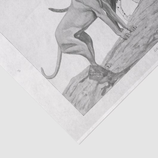  hond Ephemera Decoupage Grote Denen Tissuepapier (Detail)