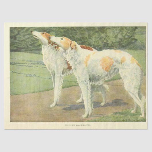 hond Ephemera Decoupage Russische Wolfshonden Tissuepapier (Voorkant)