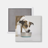 Hond eten uit de kom magneet (Voorkant / Achterkant)