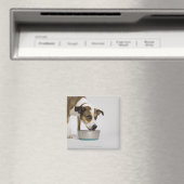 Hond eten uit de kom magneet (Insitu (Vaatwasser))