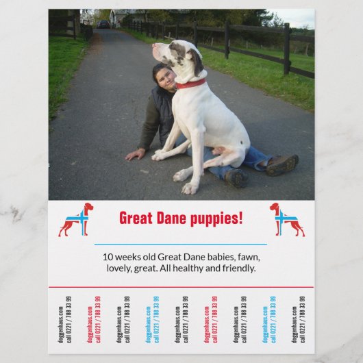 hond flyer sjabloon afdrukbaar (Voorkant)