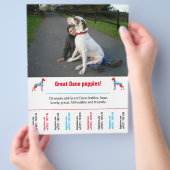 hond flyer sjabloon afdrukbaar (Hand)
