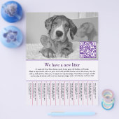 hond flyers (Enkel)