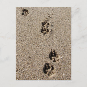 Hond Footprint Briefkaart