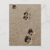 Hond Footprint Briefkaart (Voorkant)