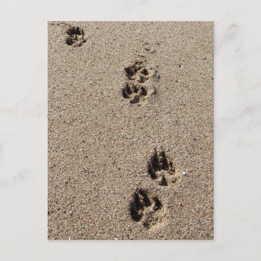 Hond Footprint Briefkaart (Voorkant)