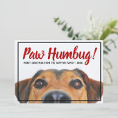 Hond Foto Bah Humbug Kerst Huisdier Feestdagenkaart (Staand voorkant)