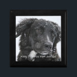 Hond foto cadeau voor mama en papa van de hond cadeaudoosje<br><div class="desc">Een aandenken kerstcadeau doos van uw hond,  met uw geliefde huisdier of huisdieren foto. Vervang deze voorbeeldfoto door een foto van je lieve hond.</div>