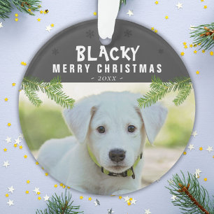 Hond Foto Dennen Tak Sneeuwvlokken Prettig Kerstfe Ornament