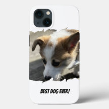 Hond Foto Huisdier Hoesje-Mate iPhone Case