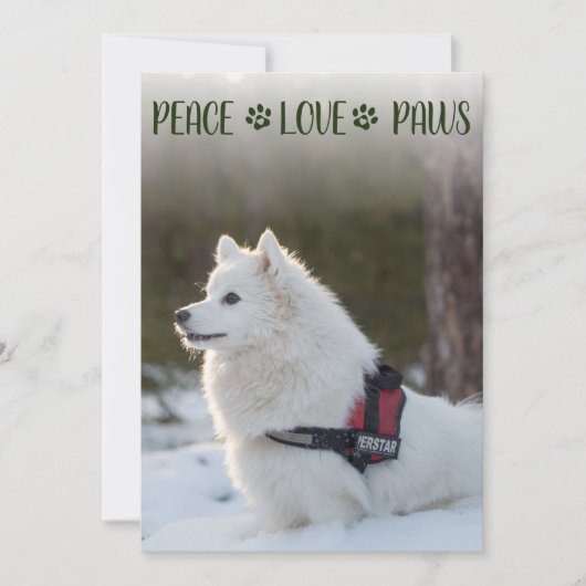 Hond Foto Kerst Platte Kaart (Voorkant)