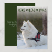 Hond Foto Kerst Platte Kaart (Voorkant / Achterkant)