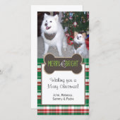 Hond Foto Kerstmis Groet Feestdagenkaart (Voorkant / Achterkant)