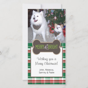 Hond Foto Kerstmis Groet Feestdagenkaart