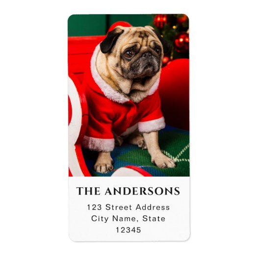 Hond Foto Liefhebber Foto Kerstmis Vakantie Pawhol Etiket (Voorkant)