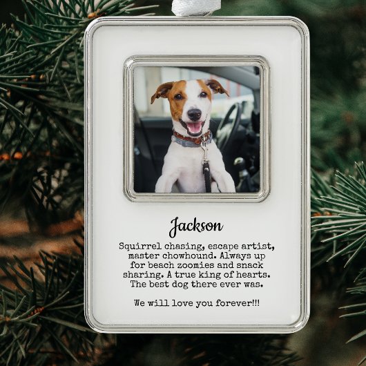 Hond Foto Memorial Custom Keepsake | Verlies van g Verzilverd Omlijst Ornament