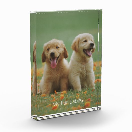 Hond Foto Mijn Bont Baby's Fotoblok (Links)