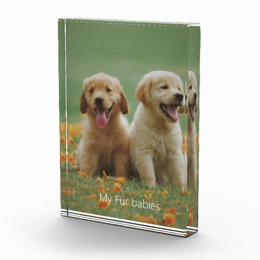 Hond Foto Mijn Bont Baby's Fotoblok (Rechts)