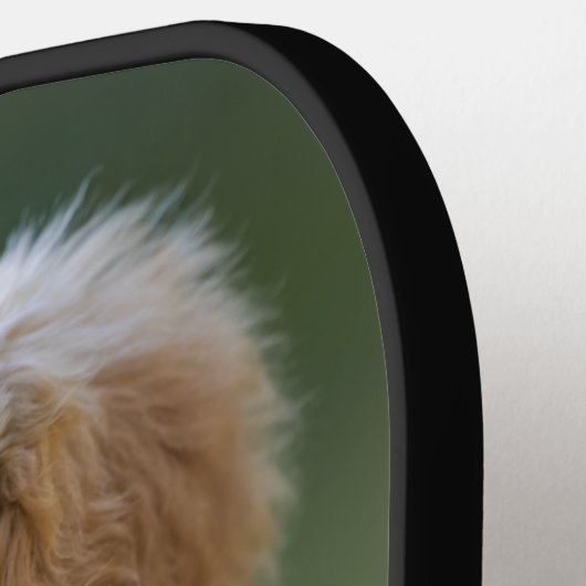 Hond Foto Moderne Monogram Script Naam Aangepaste Pickleball Paddle (Links Detail)