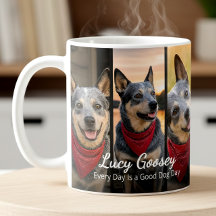 Hond Foto Naam 6 Foto