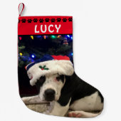 Hond Foto & Naam | Rode Zwarte Poot Prints Kleine Kerstsok (Voorkant)