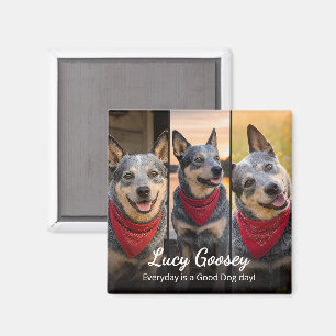 Hond Foto Naam Schattige Spreuk Magneet