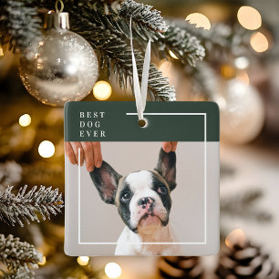 Hond Foto Ornament   Beste Hond Ooit Modern