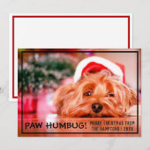 Hond Foto Paw Humbug Huisdier Kerstmis Feestdagenkaart (Voorkant / Achterkant)